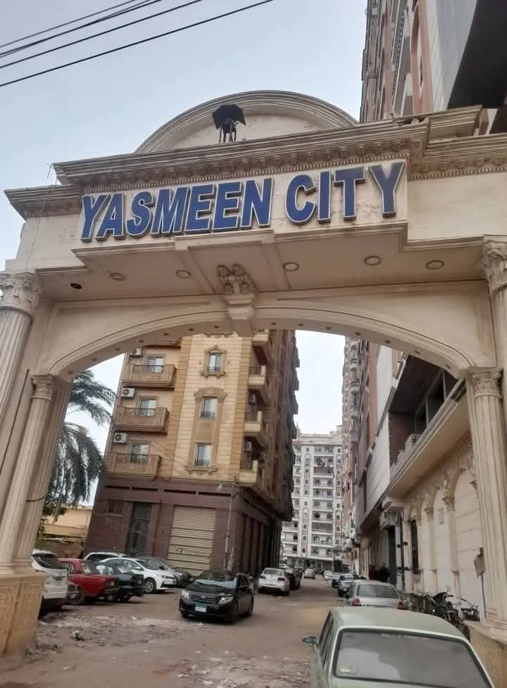 Apartment For Rent in Desouk
