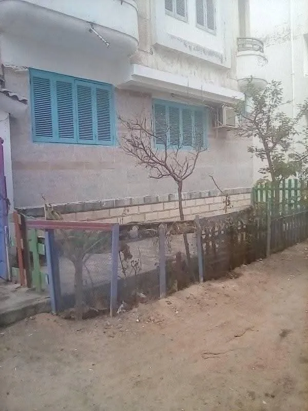 للتمليك في راس البر شقة ملك حر شاليهات بورسعيد