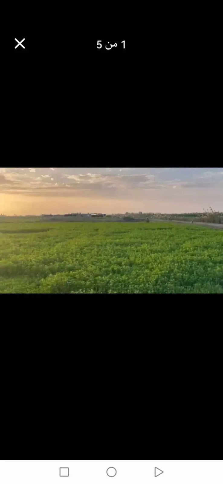 ارض زراعيه للبيع مدينة بورسعيد ٢ فدان ونص