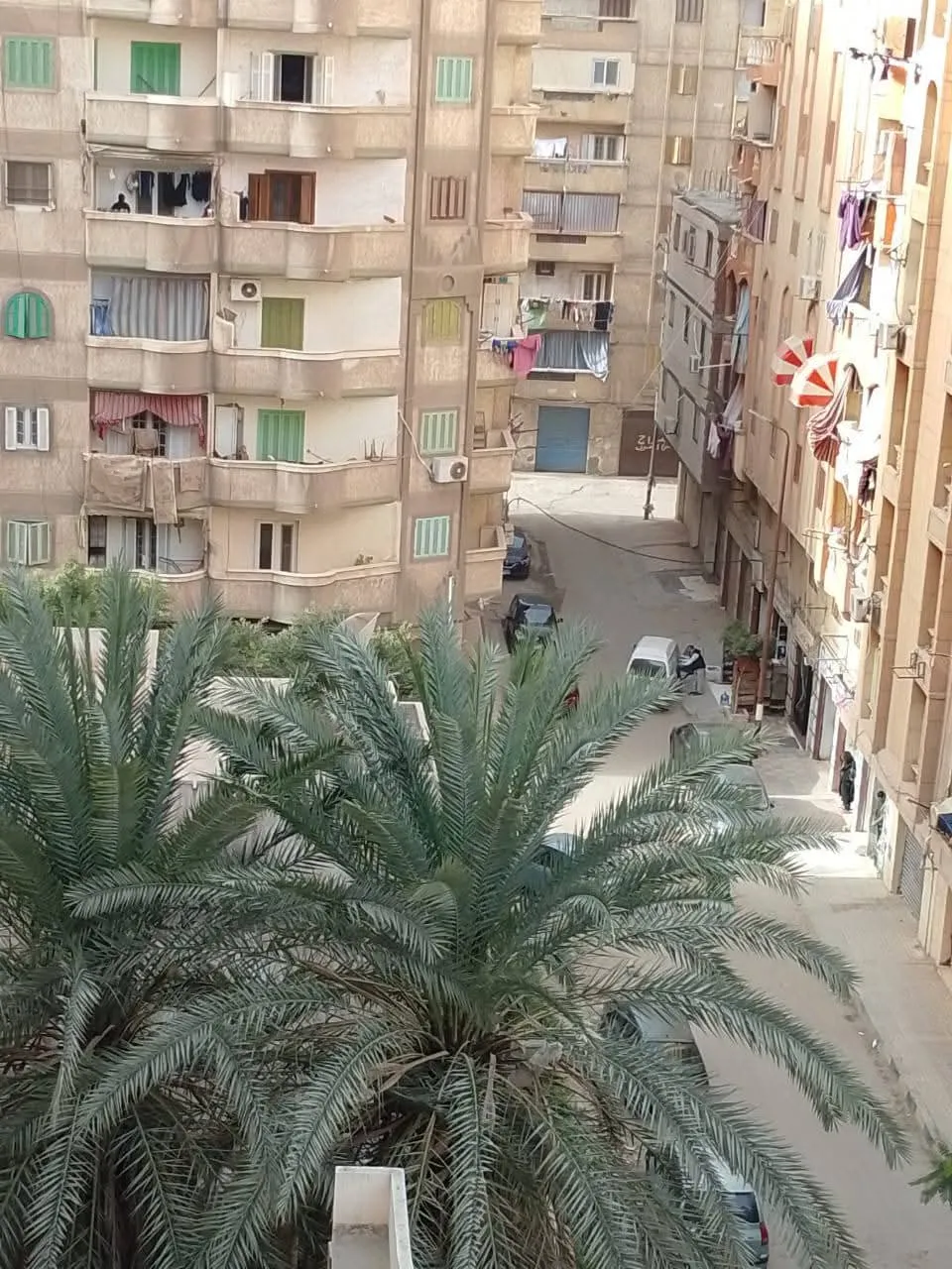 Apartment For Sale in Alexandria Governorate