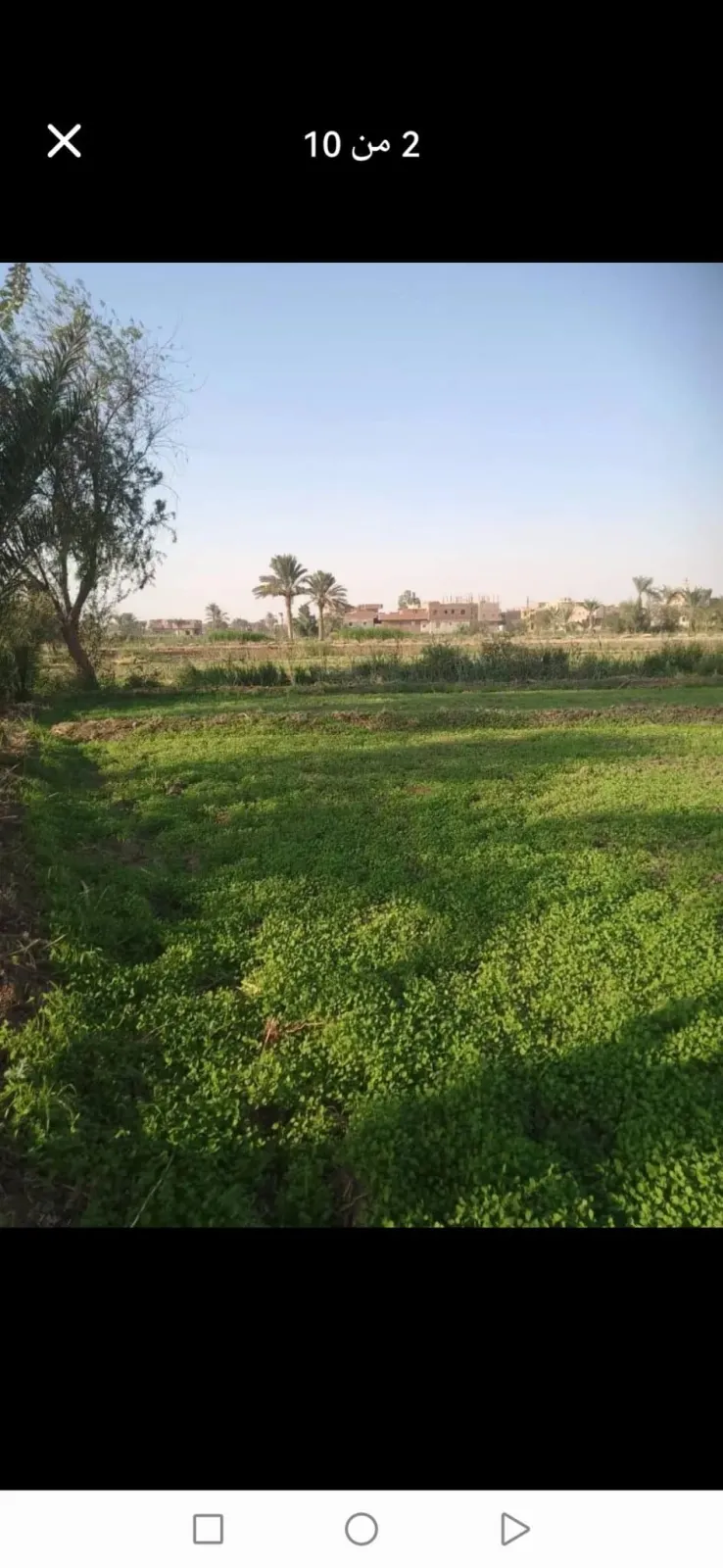 Land For Rent in Cairo Governorate
