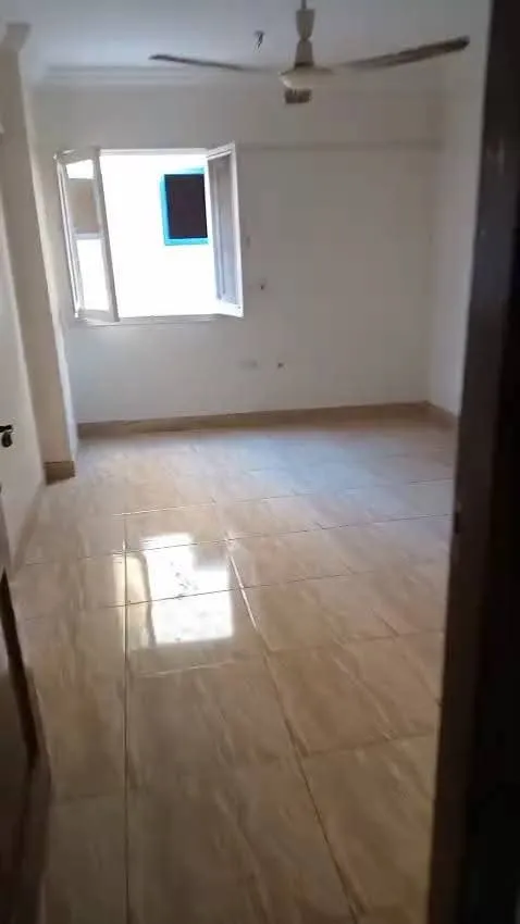 شقه للايجار شلبي القديمه دور ثاني علوي اسانسيربالمنيا